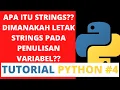 APA ITU STRINGS - Penjelasan tentang string dalam Python PYTHON INDONESIA