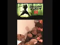 Lagu Shadow Fight 2 - Old Sensei Battle (Drum Cover)