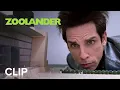 ZOOLANDER Center for Ants Clip Paramount Movies