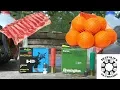 410 slugs - Brenneke vs Remington vs Meat Target