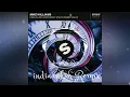 Mike Williams - Feels Like Yesterday feat. Robin Valo (IndiaanKSH Remix)