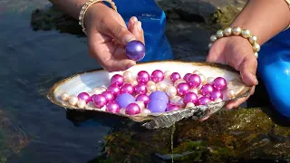 🔮This girl discovered mountains of luminous pearls hidden in massive clams along the wild riverside