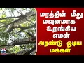 Download Lagu python | Kerala | மரத்தின் மீது உறங்கிய எமன்...அரண்டு ஓடிய மக்கள்