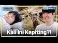 Download Lagu Berkali-kali Gagal, Ayah Jadi Makin Berani😅 | The Return of Superman [IND/ENG] | KBS WORLD TV 251109