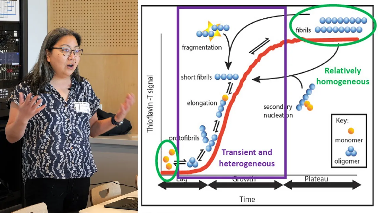 Dr Janet Kumita: Can Stopping the Formation of Protein Clusters Treat Neurogenerative Diseases?