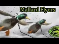 Deadly Decoys Mallard Flyers