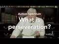 What is Perseveration With Bob Doman of NACD - Autism Spectrum