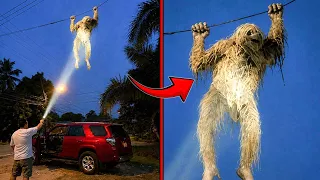 100 Most Bizarre s Ever Recorded By People Internet s Most Shocking Clips