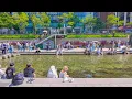 Download Lagu Cheonggyecheon 청계천 Walk | Seoul, Korea | 4K Walking Tour With Binaural City Ambience Sounds