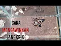 Lagu CARA MENGAWINKAN JANGKRIK AGAR HASIL TERNAKAN BERKWALITAS SUPER || TERNAK JANGKRIK _ Battlesurvival.