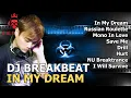 Dj Party Mixtape 2020 TerMantap | Dj Breakbeat In My Dream viral terbaru 2020 | BreakBeat Full Bass Mp3 Song Download