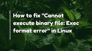How to fix Cannot execute binary file Exec format error in Linux