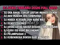 Lagu DJ JAWA TERBARU 2026 FULL BASS🎵 | DJ DENOK X DJ ROPANG X DJ RAISO NGAPUSI VIRAL MENGKANE !!