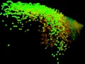 Processing minim test