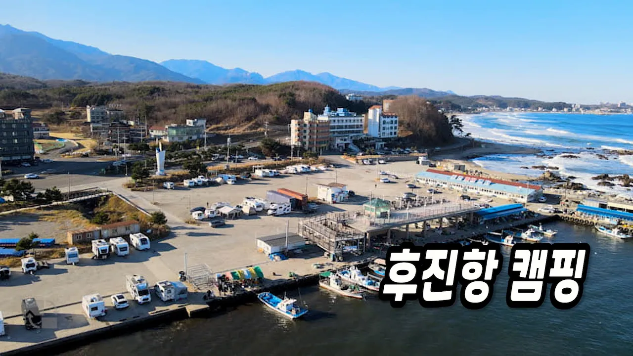 양양 후진항 캠핑🎉 성게 한 바구니 해루질  サムネイル