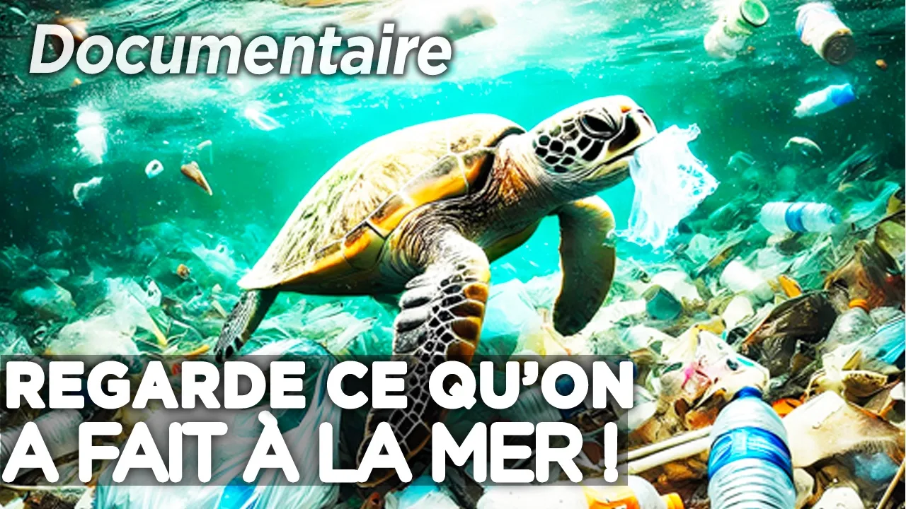La mer crie à l’aide et personne n’écoute - documentaire complet