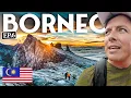 Download Lagu Climbing The HIGHEST Mountain In Malaysia 🇲🇾 (BRUTAL 33 HOURS)