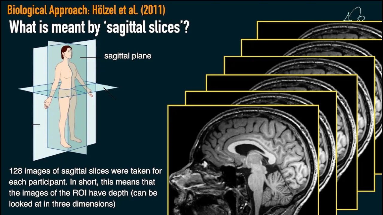 Mindfulness and brain scans - Holzel et al. (2011)