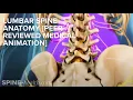 Lumbar Spine Anatomy Peer-reviewed Medical Animation
