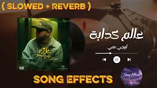 اغنية عالم كدابة                     دندنها