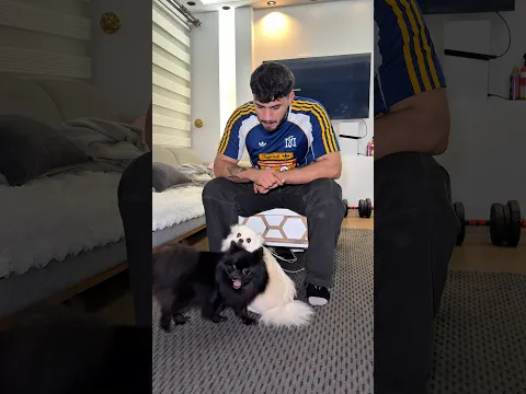 LOL uyudu mu Hasan Sönmez yeni video #sorts #shortsvideo 