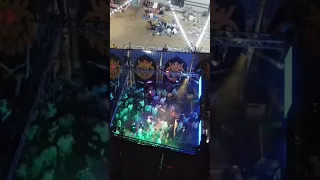 دخله الزرازير 