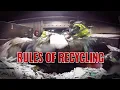 The changing rules of recycling