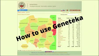 How to Find Vital Records Using Geneteka