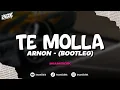 Download Lagu DJ TE MOLLA - ARNON (BOOTLEG) imamsidik SOUND VIRAL FYP TIKTOK JEDAG JEDUG 2025!!