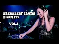 Lagu DJ BREAKBEAT SANTAI BIKIN FLY - Vol 1