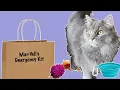 What s in Our Cat Emergency Kit