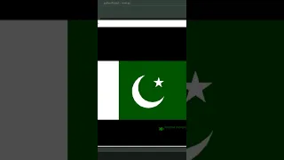 Draw Pakistani Flag Using Python Turtle