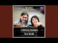 Download Lagu Brahms: Violin Sonata No. 1 in G Major, Op. 78: II. Adagio