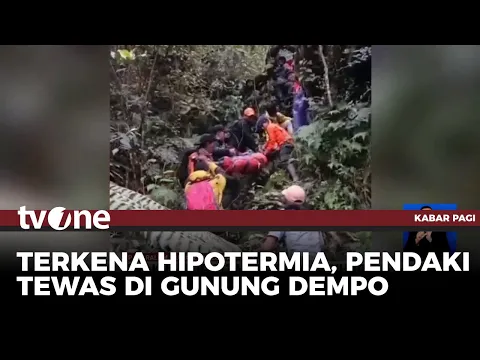 Diduga Alami Kelelahan, Pendaki Asal Bengkulu Meninggal di Gunung Dempo
