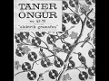 Schiki Schiki Baba - Taner Öngür & 43.75