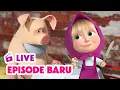 Download Lagu 🔴 LIVE! Masha dan Beruang 👧🐻 Episode Baru 😋🍜 Kartun anak-anak 🎬 Masha and the Bear