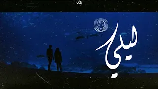 حالات واتس  كايروكي   ليلي   عشانك أنا قادر اكمل دندنها