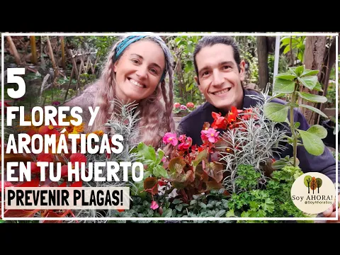 Download MP3 🌷🌼🌹QUE FLORES Y AROMÁTICAS PLANTAMOS EN EL HUERTO? Cuales Repelen insectos y Combaten las  PLAGAS!🌸