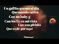 AMAPOLA | Natanael Cano Ft. Nueva H (Filtrada)