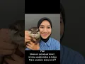Download Lagu Otter huilend en naar het raam klimmend? #shorts #verdrietig #otter #grappig #grappigedieren #hui...