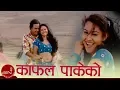 Nepali Lok Geet | Kafal Pakeko - Bimal Raj Chhetri \u0026 Devi Gharti | Shankar BC | Samjhana Budhathoki