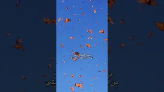 بعض الاصدقاء نعمه اكسبلور باسم الكربلائي اللهم صل على محمد وآل محمد اللهم عجل لوليك الفرج 