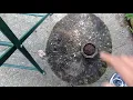 The best inexpensive way to crack black walnuts EASY NO MESS