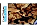 Mexican Desserts How to make Bunuelos Yuri de Gortari