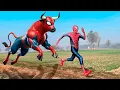 Download Lagu Homem Aranha e o Toro Aranha ( Filme completo 2025)