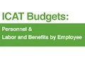 ICAT Budgets Personnel Labor and Benefits by Employee