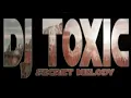 Download Lagu DJ Toxic – Secret Melody