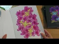 Finished Coloring Pages with Budget Colored Pencils 2025 - Realistic Flowers Mushroom and Moth