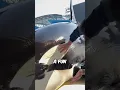 This Is How An Orca Gets Cleaned