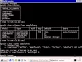 0604 ENUM column type